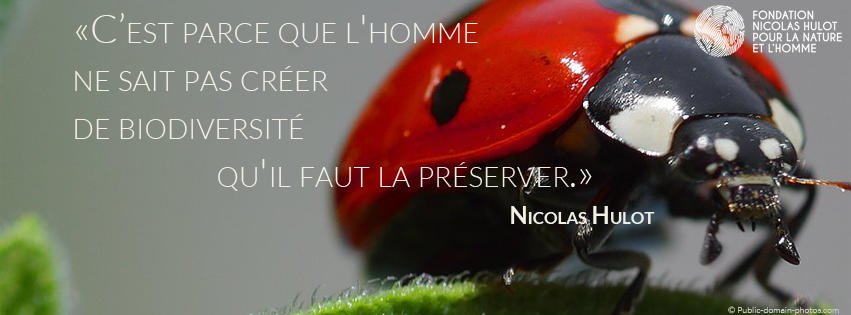 Réflexions à la mer